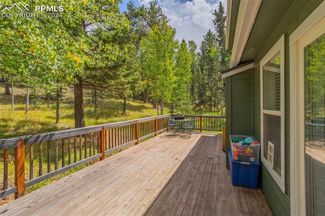 MLS Image for 413  Remwood  ,Divide, Colorado