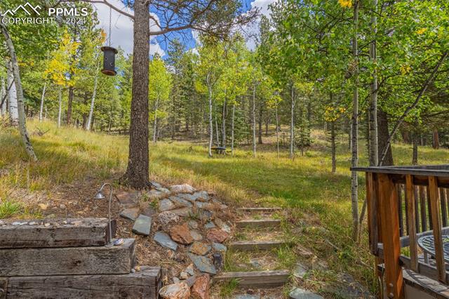 MLS Image for 413  Remwood  ,Divide, Colorado