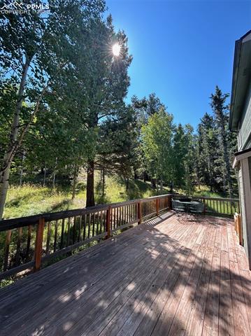 MLS Image for 413  Remwood  ,Divide, Colorado