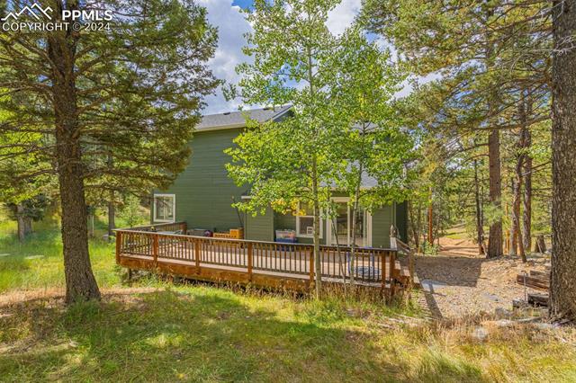 MLS Image for 413  Remwood  ,Divide, Colorado