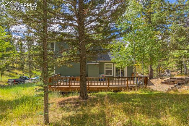 MLS Image for 413  Remwood  ,Divide, Colorado