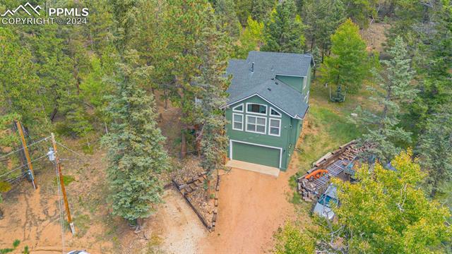 MLS Image for 413  Remwood  ,Divide, Colorado