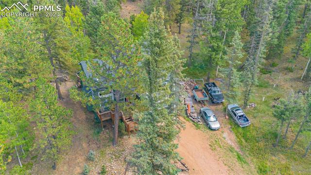 MLS Image for 413  Remwood  ,Divide, Colorado