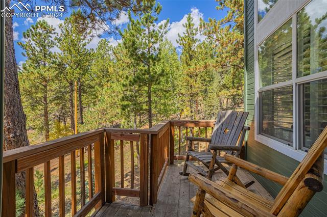 MLS Image for 413  Remwood  ,Divide, Colorado