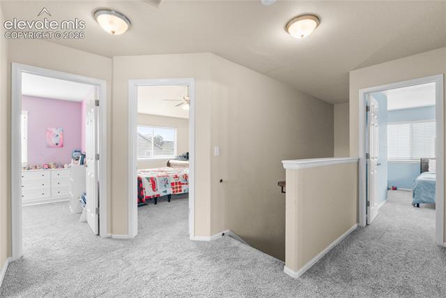 MLS Image for 6238  Elk Bench  ,Colorado Springs, Colorado
