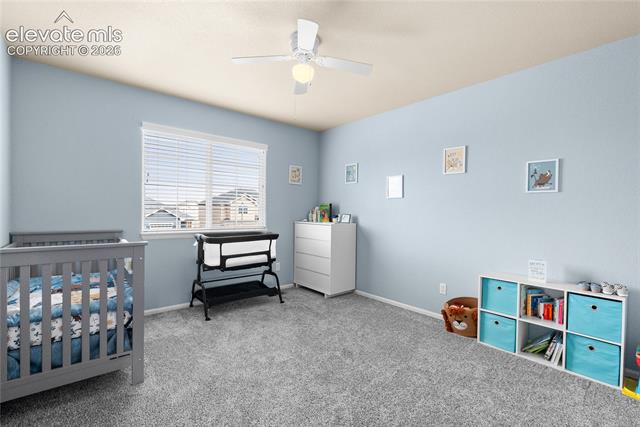 MLS Image for 6238  Elk Bench  ,Colorado Springs, Colorado