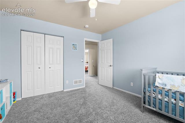 MLS Image for 6238  Elk Bench  ,Colorado Springs, Colorado