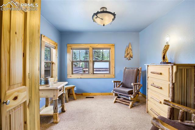 MLS Image for 121 N Laurel  ,Woodland Park, Colorado