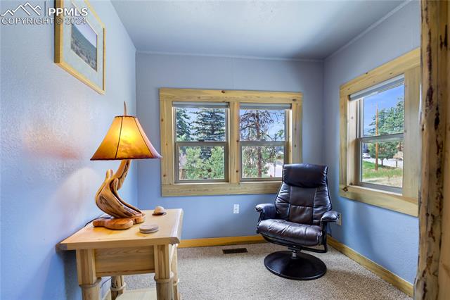 MLS Image for 121 N Laurel  ,Woodland Park, Colorado