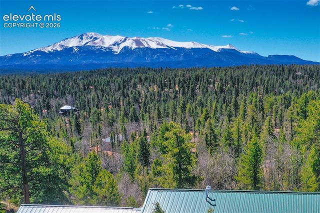 MLS Image for 5542  North  ,Divide, Colorado