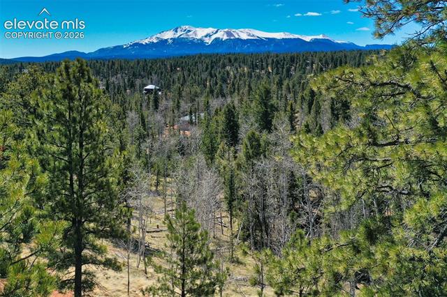 MLS Image for 5542  North  ,Divide, Colorado