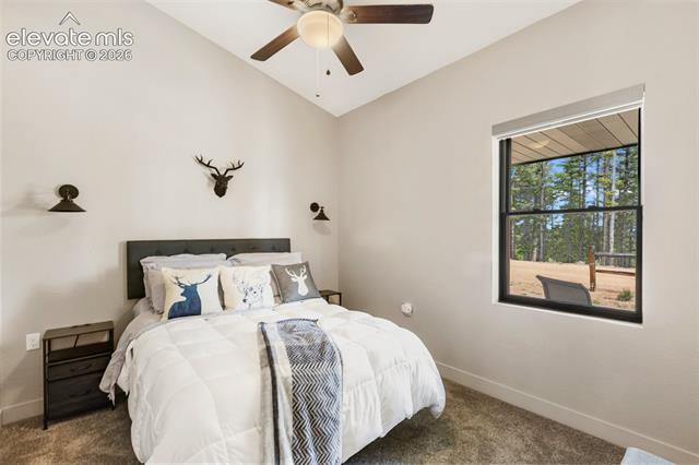 MLS Image for 5542  North  ,Divide, Colorado