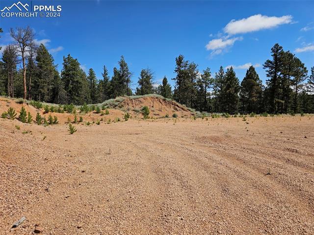 MLS Image for 3721  County Road 3  ,Florissant, Colorado