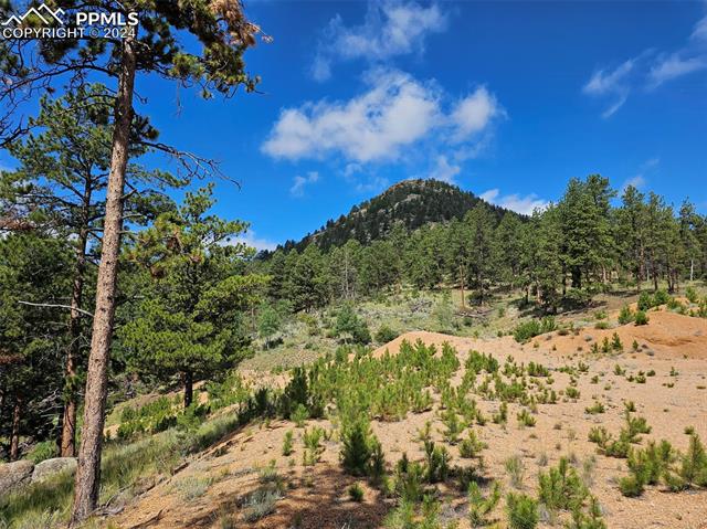 MLS Image for 3721  County Road 3  ,Florissant, Colorado