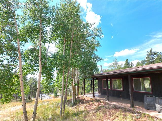 MLS Image for 3721  County Road 3  ,Florissant, Colorado