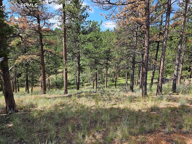 MLS Image for 3721  County Road 3  ,Florissant, Colorado