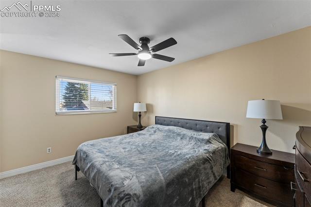 MLS Image for 5463  Oro Grande  ,Colorado Springs, Colorado