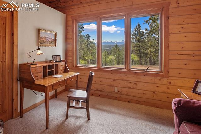 MLS Image for 527  Cougar  ,Divide, Colorado