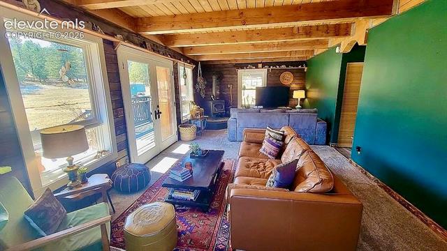 MLS Image for 475  Sioux  ,Florissant, Colorado