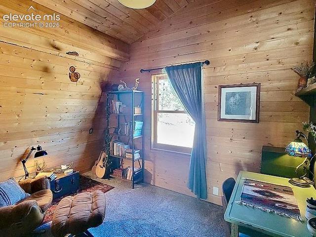 MLS Image for 475  Sioux  ,Florissant, Colorado