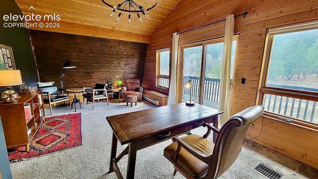 MLS Image for 475  Sioux  ,Florissant, Colorado