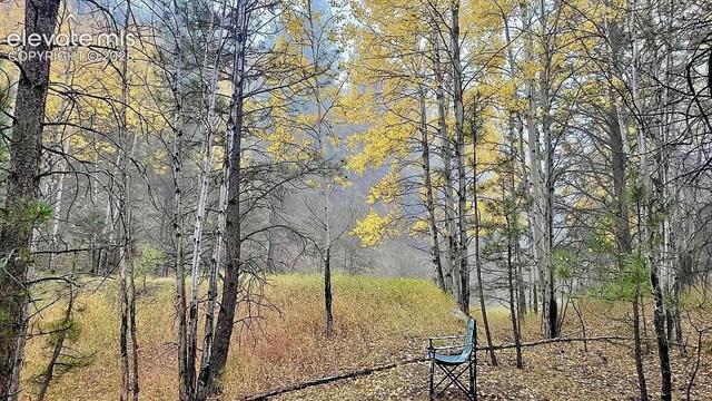 MLS Image for 475  Sioux  ,Florissant, Colorado