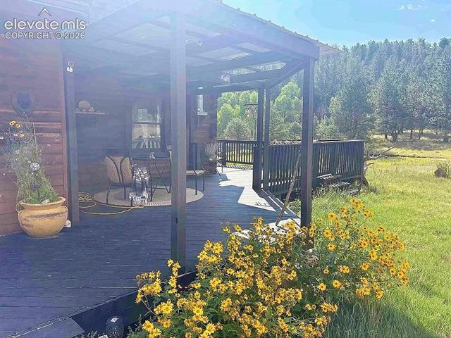 MLS Image for 475  Sioux  ,Florissant, Colorado