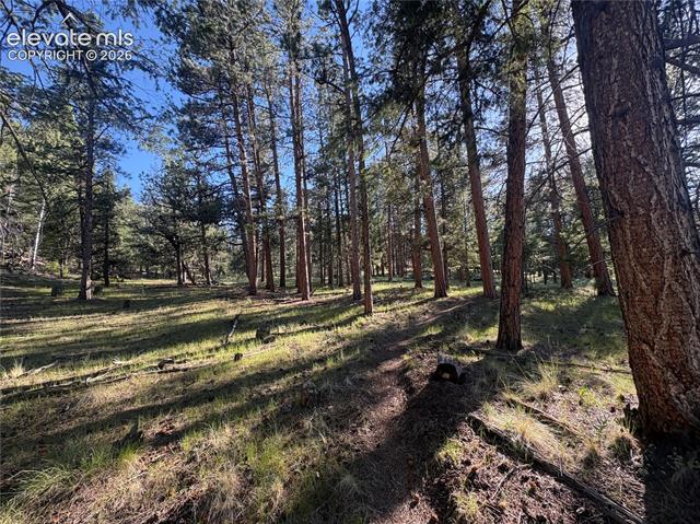 MLS Image for 475  Sioux  ,Florissant, Colorado