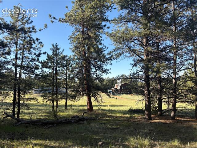 MLS Image for 475  Sioux  ,Florissant, Colorado