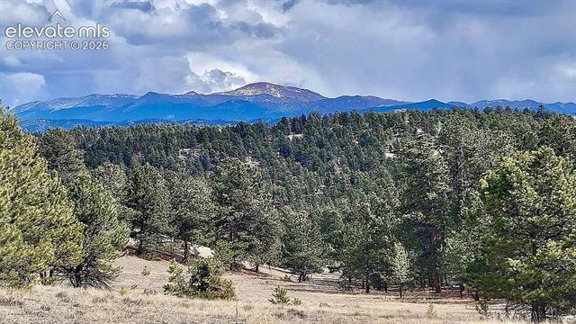 MLS Image for 475  Sioux  ,Florissant, Colorado