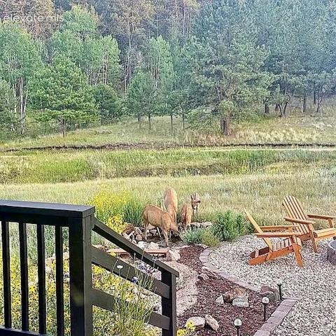 MLS Image for 475  Sioux  ,Florissant, Colorado