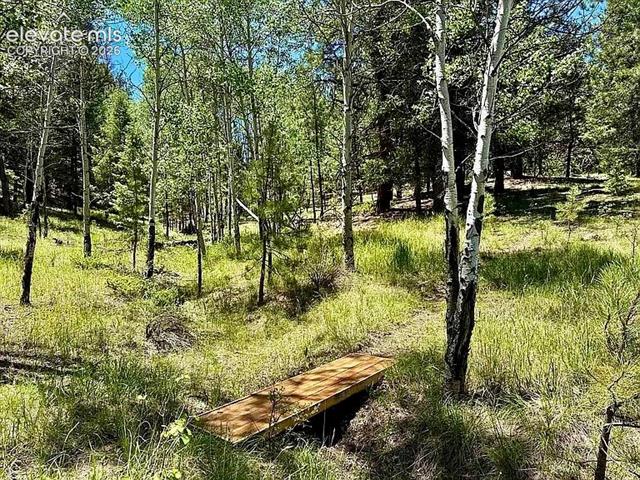 MLS Image for 475  Sioux  ,Florissant, Colorado