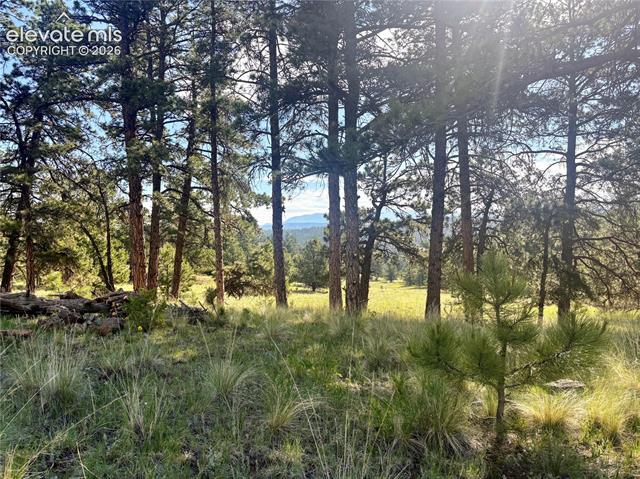MLS Image for 475  Sioux  ,Florissant, Colorado