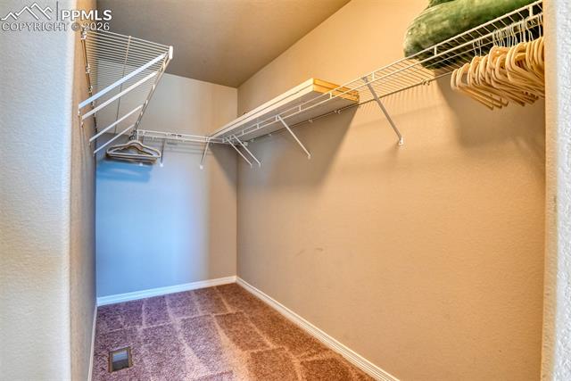 MLS Image for 6719  Skuna  ,Colorado Springs, Colorado