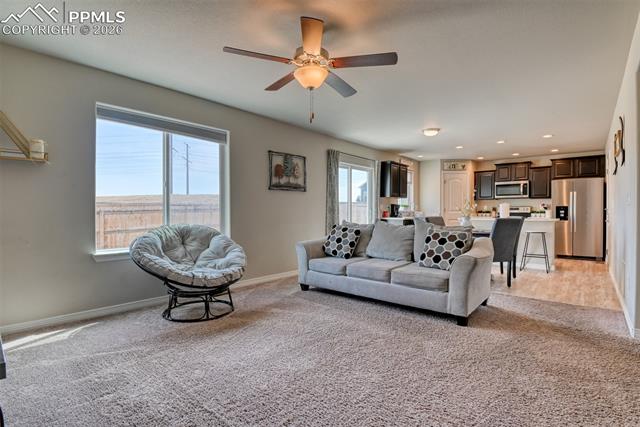 MLS Image for 6719  Skuna  ,Colorado Springs, Colorado