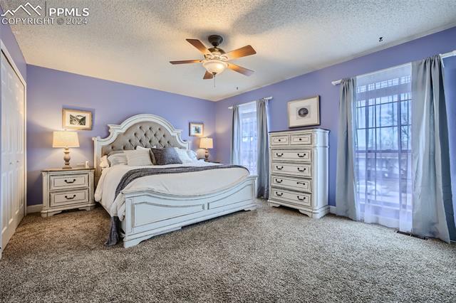 MLS Image for 6595  Lange  ,Colorado Springs, Colorado