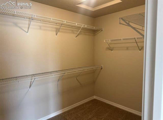 MLS Image for 8570  Blue Feather  ,Colorado Springs, Colorado