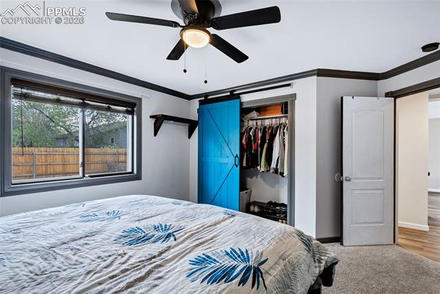 MLS Image for 3375  Spotted Tail  ,Colorado Springs, Colorado