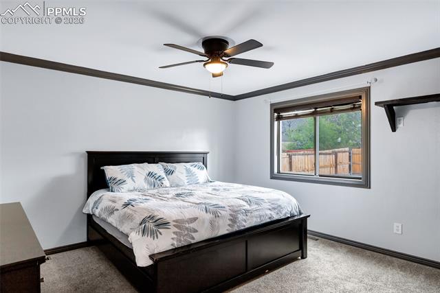 MLS Image for 3375  Spotted Tail  ,Colorado Springs, Colorado