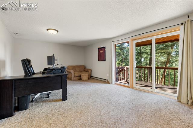 MLS Image for 286  Summit  ,Woodland Park, Colorado