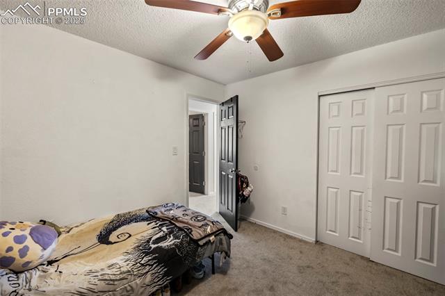 MLS Image for 7420  Caballero  ,Colorado Springs, Colorado