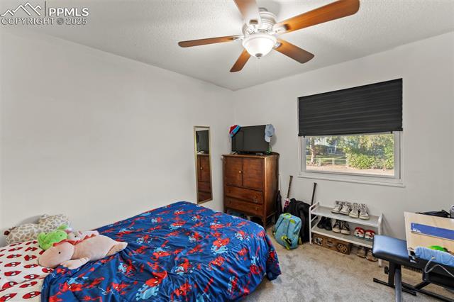 MLS Image for 7420  Caballero  ,Colorado Springs, Colorado