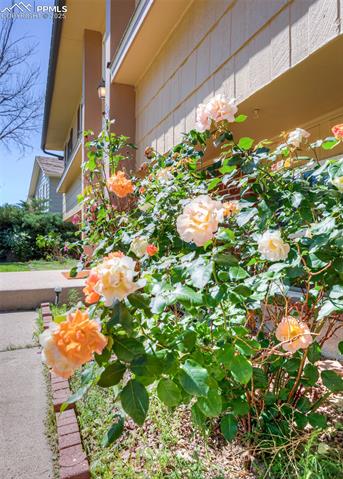 MLS Image for 7420  Caballero  ,Colorado Springs, Colorado