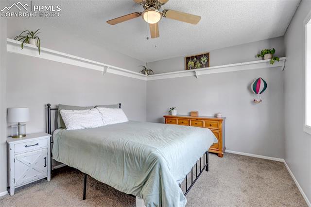 MLS Image for 7335  Powderwash  ,Colorado Springs, Colorado