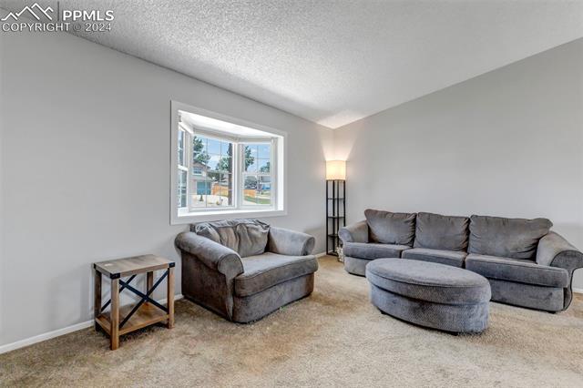 MLS Image for 7335  Powderwash  ,Colorado Springs, Colorado