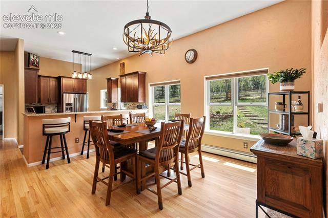 MLS Image for 153  Moss Rock  ,Divide, Colorado