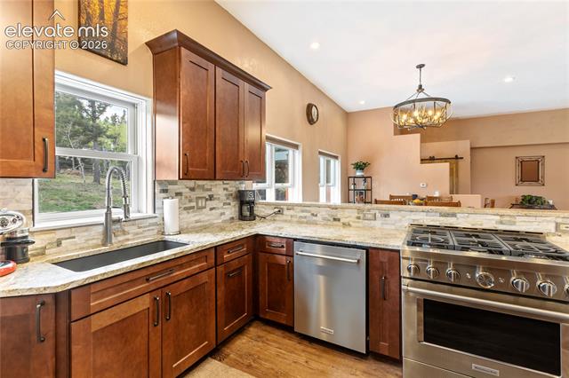 MLS Image for 153  Moss Rock  ,Divide, Colorado