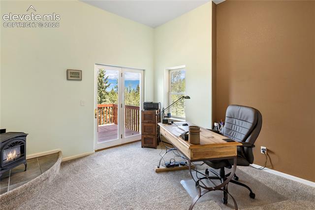 MLS Image for 153  Moss Rock  ,Divide, Colorado