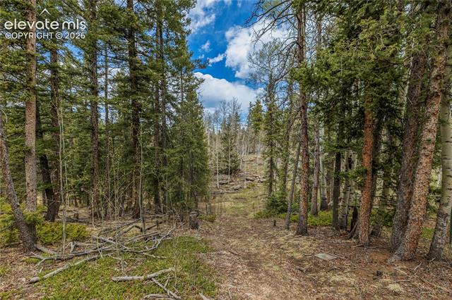 MLS Image for 153  Moss Rock  ,Divide, Colorado