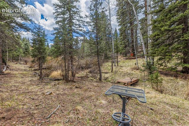 MLS Image for 153  Moss Rock  ,Divide, Colorado